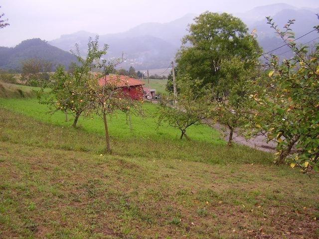 Terreno en venta en Praúa, Pravia