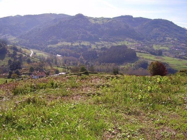 Terreno en venta en Candamo, Sandiche
