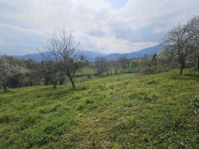 Terreno en venta en Nava