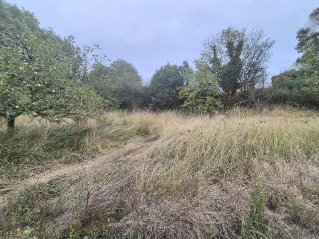 Terreno en venta en Grado, Asturias