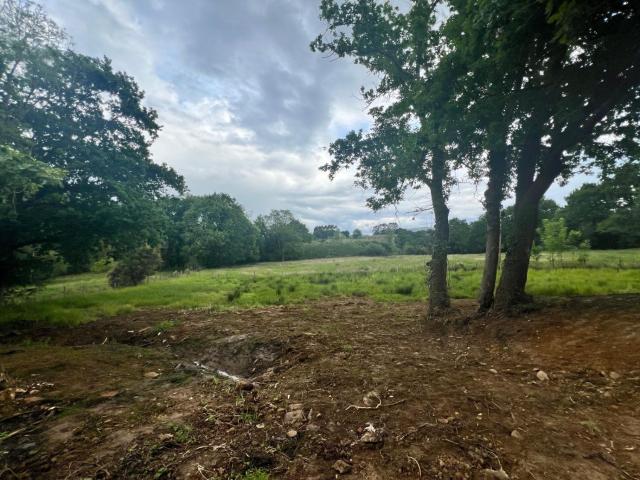 Terreno en venta en La Riba, Rasines