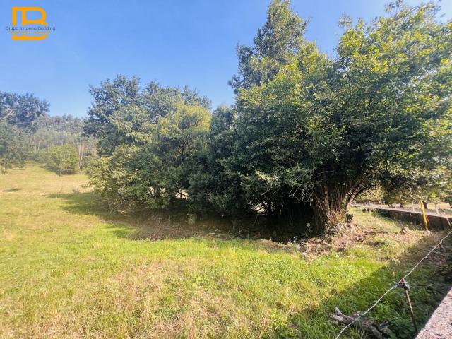 Terreno en venta en Bádames, Voto