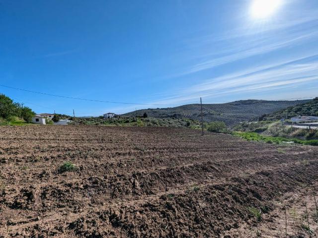 Terreno en venta en Comarca de Loja, Andalucía
