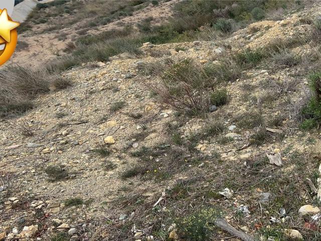 Terreno en venta en Romeral, Vega Media del Segura