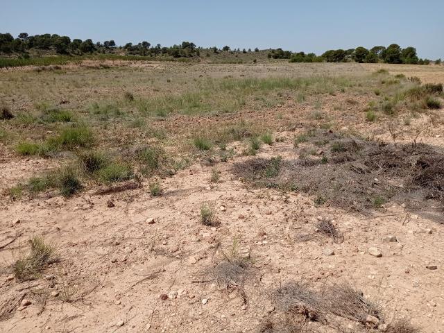 Terreno en venta en Casa de Cobos, Altiplano