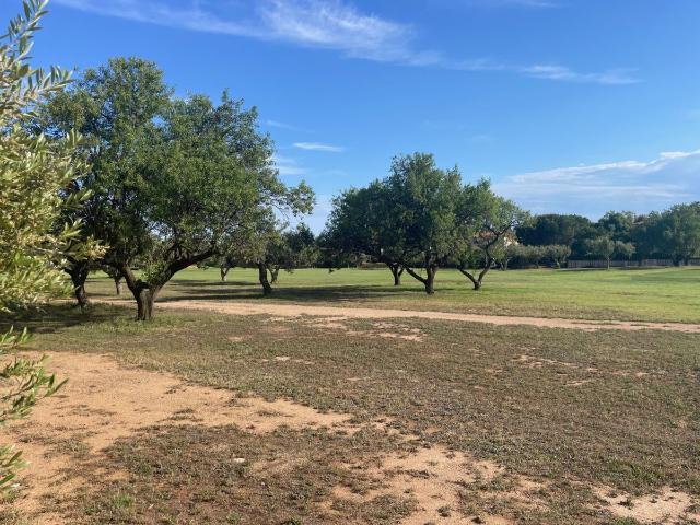 Terreno en venta en sardana, Baix Camp