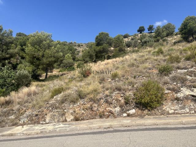 Terreno en venta en el Camp de Morvedre, Valencia