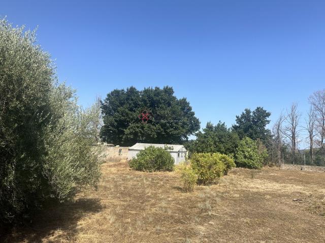 Terreno en venta en el Camp de Morvedre, Valencia