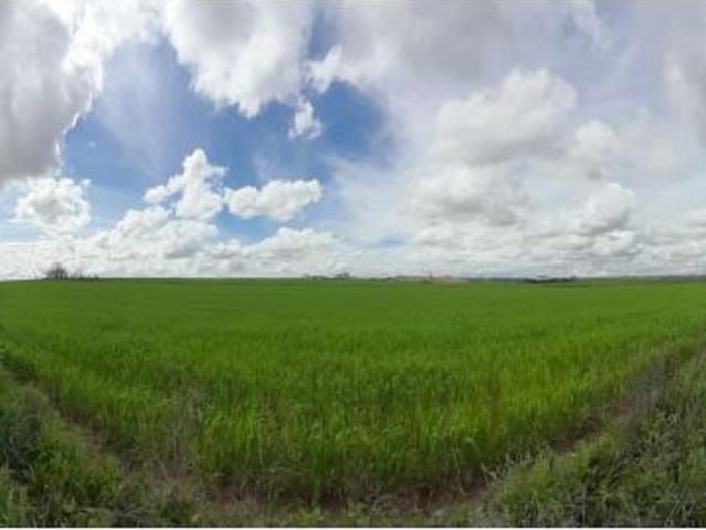 Local Comercial en venta en Cubas De La Sagra, Madrid