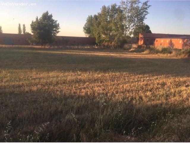 Local Comercial en alquiler en Valladolid, Campo Grande