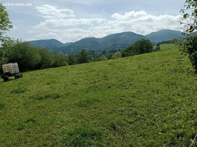 Local Comercial en venta en Piloña, Asturias