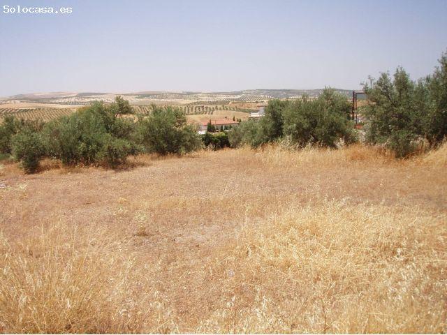 Local Comercial en venta en El Ventorrillo, Comarca de la Vega de Granada