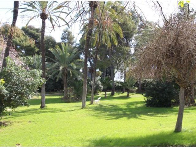 Local Comercial en venta en Santa Apolonia, l'Horta Sud