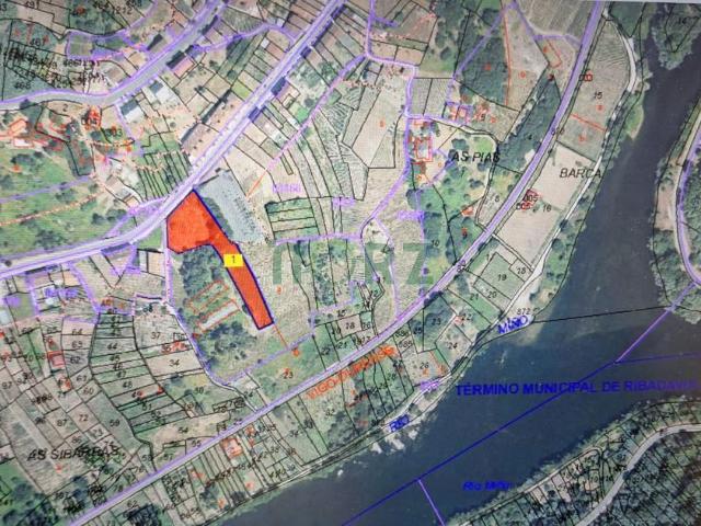 Terreno en venta en San Domingos de Fóra de Ribadavia, O Ribeiro