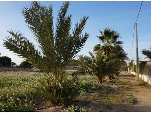 Local Comercial en venta en el Baix Vinalopó, Valencia