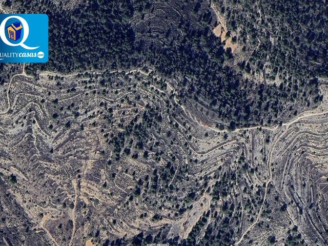 Terreno en venta en la Romana, Alacant / Alicante