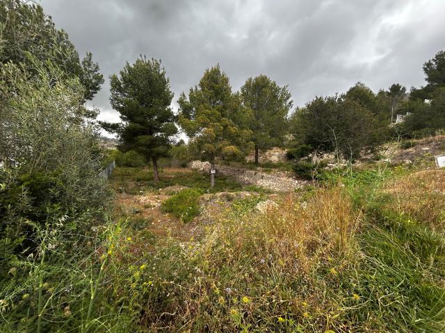 Terreno en venta en San Bernardo, la Marina Alta