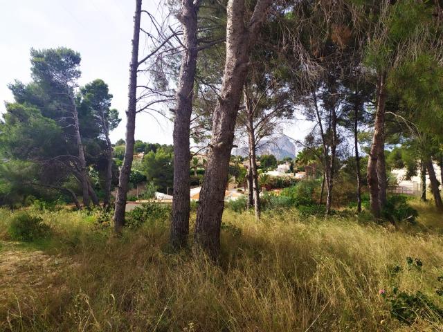 Terreno en venta en San Bernardo, la Marina Alta