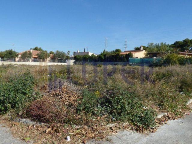 Terreno en venta en San Vicente Del Raspeig, la Borinquen