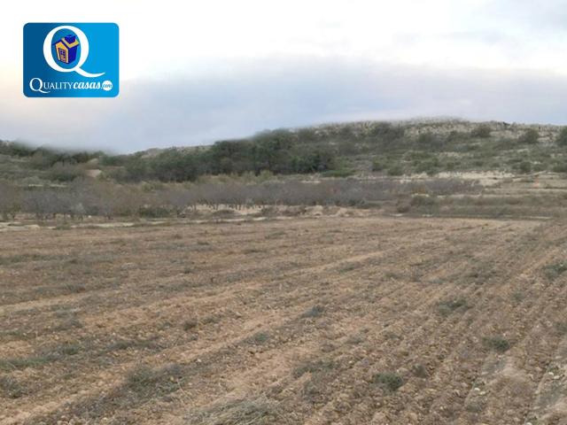 Terreno en venta en Torrellano, el Baix Vinalopó