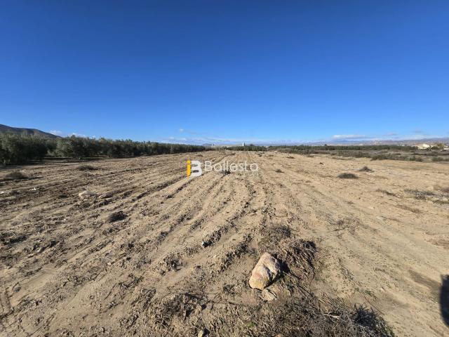 Terreno en venta en La Atalaya, Huércal-overa