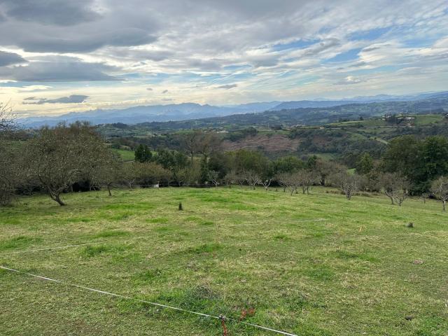 Terreno en venta en Gijón, Asturias