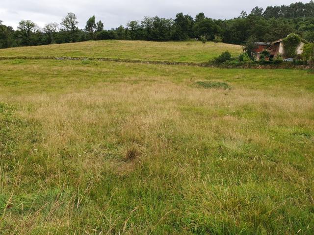 Terreno en venta en Grado, Asturias