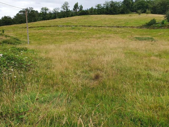Terreno en venta en Grado, Asturias