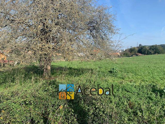 Terreno en venta en Cenero, Gijón