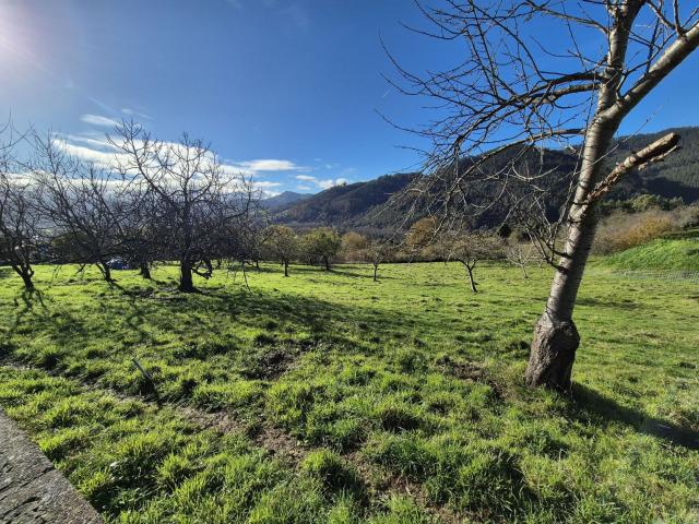 Terreno en venta en Grado, Asturias