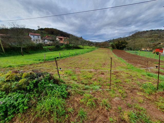 Terreno en venta en Grado, Asturias