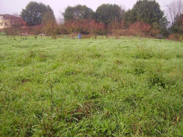 Terreno en venta en Candamo, El Rodacu