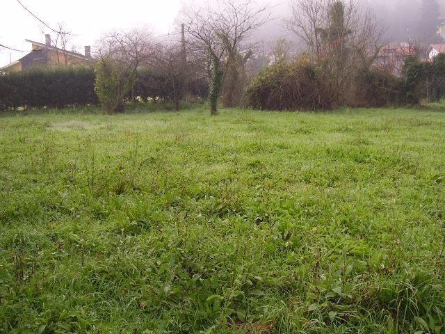 Terreno en venta en Grado, Asturias