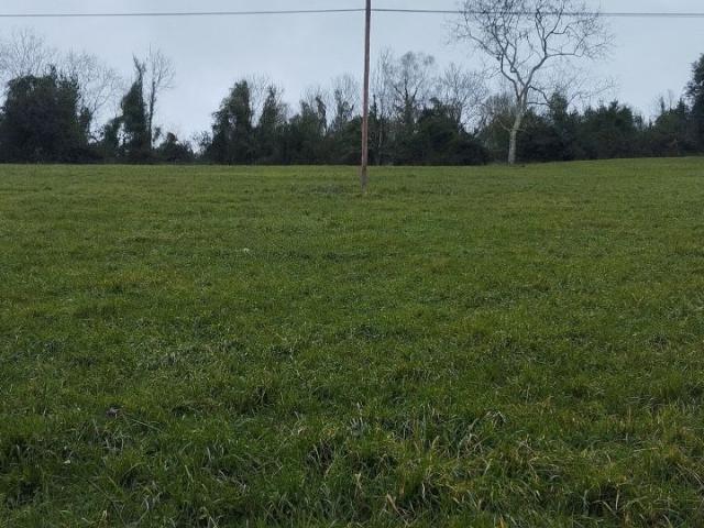 Terreno en venta en Candamo, Sandiche