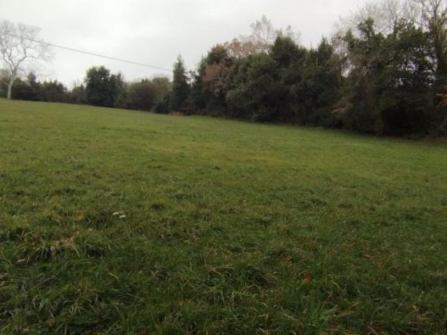 Terreno en venta en Aces, Candamo