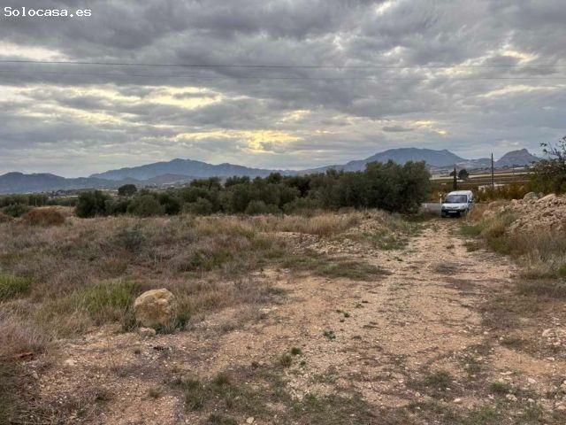 Local Comercial en venta en Virgen del Oro, Vega Alta del Segura