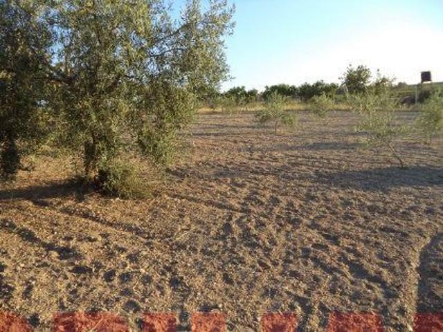 Terreno en venta en Tierra de Barros, Extremadura