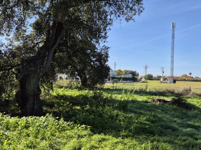 Terreno en venta en Casco Antiguo, Tierra de Badajoz