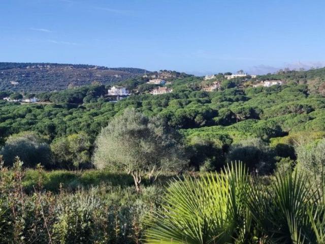 Terreno en venta en Sotogrande, Campo de Gibraltar