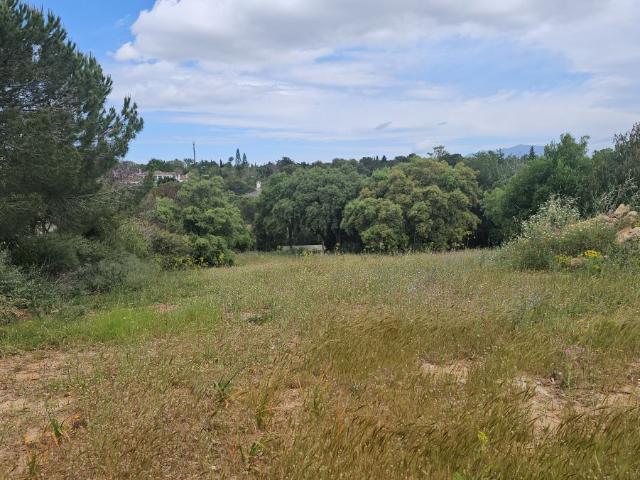 Terreno en venta en Sotogrande, Campo de Gibraltar