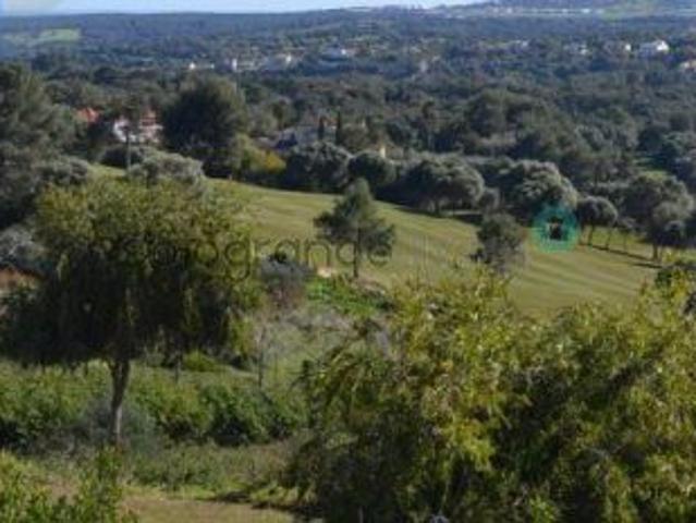 Terreno en venta en Sotogrande, Campo de Gibraltar