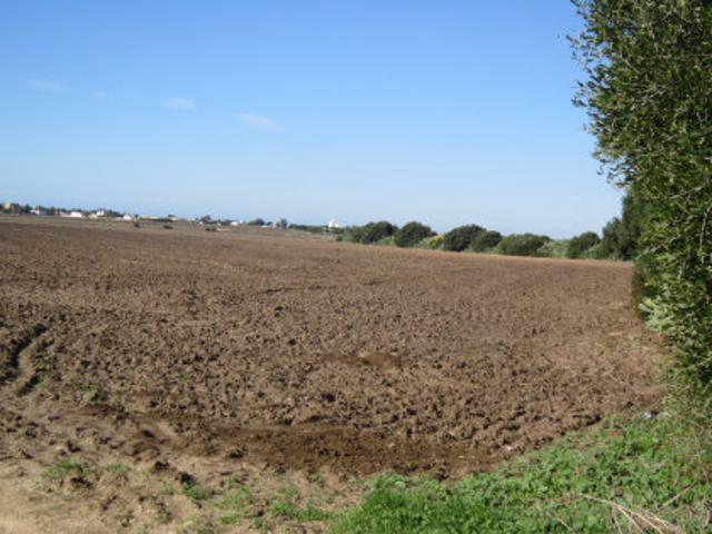 Terreno en venta en Urbanización Alcazaba, La Janda