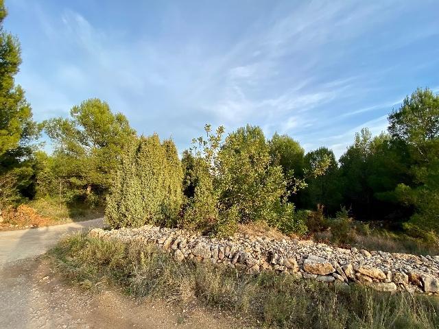 Terreno en venta en la Plana Baixa, Valencia