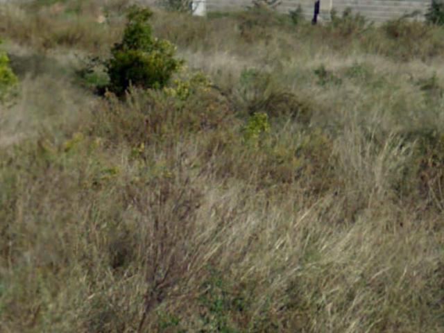 Terreno en venta en la Plana Baixa, Valencia