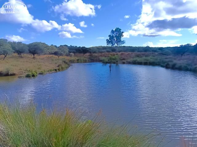 Terreno en venta en Sierra de Huelva, Andalucía