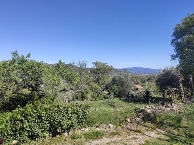 Terreno en venta en Aínsa-Sobrarbe/L´Aínsa-Sobrarbe, Aínsa-sobrarbe