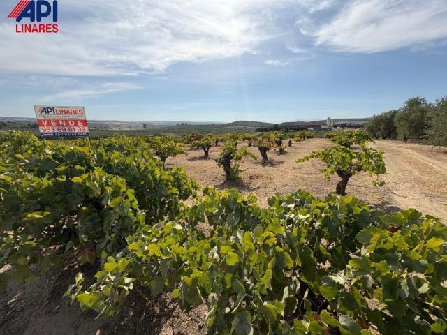 Terreno en venta en Bailén, Andalucía