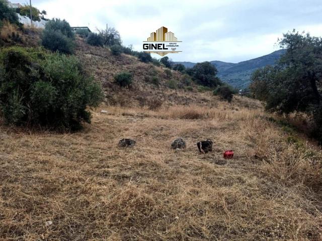 Terreno en venta en Los Villares, Andalucía