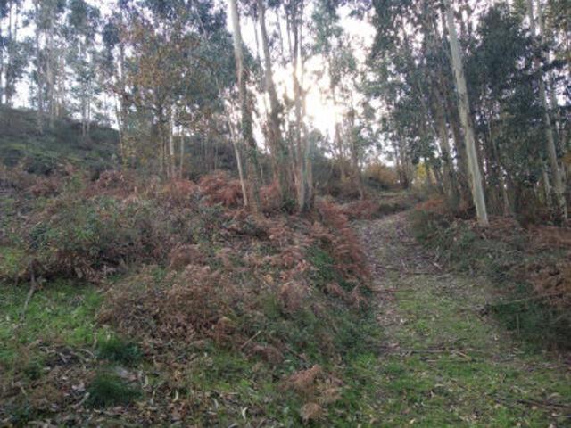 Terreno en venta en Poio, Pontevedra
