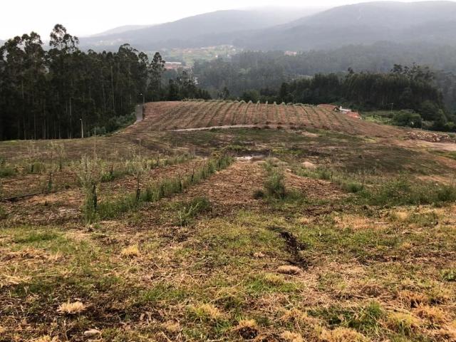 Terreno en venta en Pontevedra, Casco Antigo